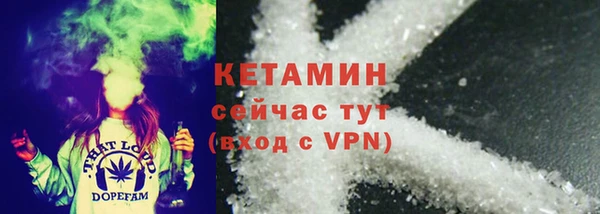 сатива Балахна