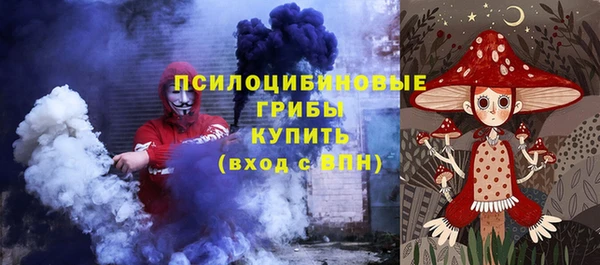 сатива Балахна