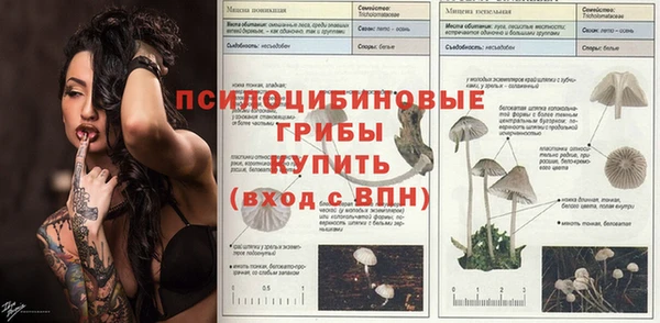 сатива Балахна