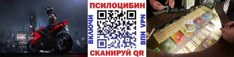 Псилоцибиновые грибы Cubensis  Бор 